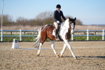 SBM_004392