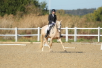 SBM_001559