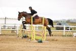 SBM_025056