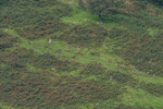 Arnison Crag-18