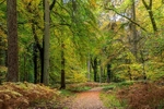 Autumn Colours