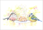 Blue tit and long tailed tit Fine Art Print 640