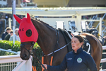 241025-Race 2-King Of Kingsfield-2443