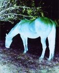 1401