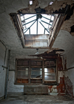 Ellis Island Immigrant Hospital | Skylight