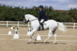 SBM_014597