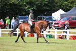 3E7A9201