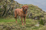 Dunnerdale-1