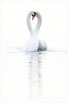 Dancing Cheek to Cheek