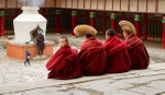 Inquisitive monk