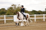 SBM_006337