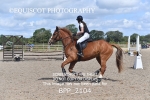 BPP_2104