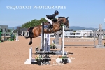 BPP_1362