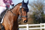 121-Ella.Weeks-Plough.On portfolio