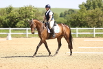 SBM_008199