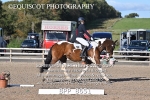 BPP_8651