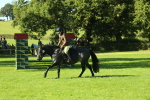 SBM_36470