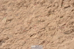 231011A-113704-00256