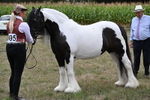 WJ6_5487