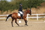 SBM_013505