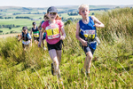 Tebay U9-37