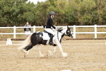 SBM_002716