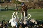 Friendly Feeding