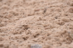 230702A-095138-07891