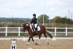SBM_003834