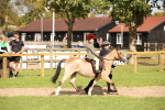 SBM_49989