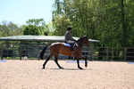 WJ6_0968