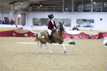 SBM_10477