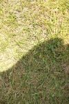 SBM_05481