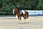 260801A-110811-03407