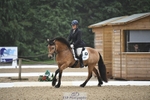 309-Debra_Mumford-Amgar_Teddy_Boyq portfolio