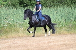 WJ7_8126