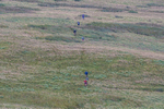 Matterdale-292