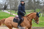 Cls 04 Local Horse 120cm portfolio