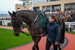 151125-Race 5-Gowel Roa-3528