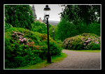 2011 Djurgården 6