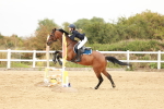 SBM_008575