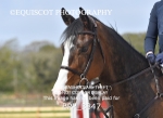 BPP_3847
