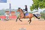 Cls 25, Snr Newcomers Championship portfolio