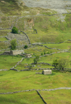 A Dales Life (2)