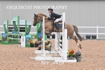 BPP_4419