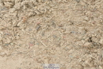 230721A-141825-06845