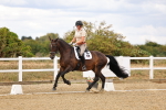 SBM_006630