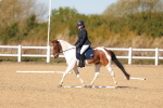 SBM_001552