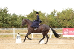 SBM_004623