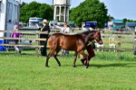 SBM_01035